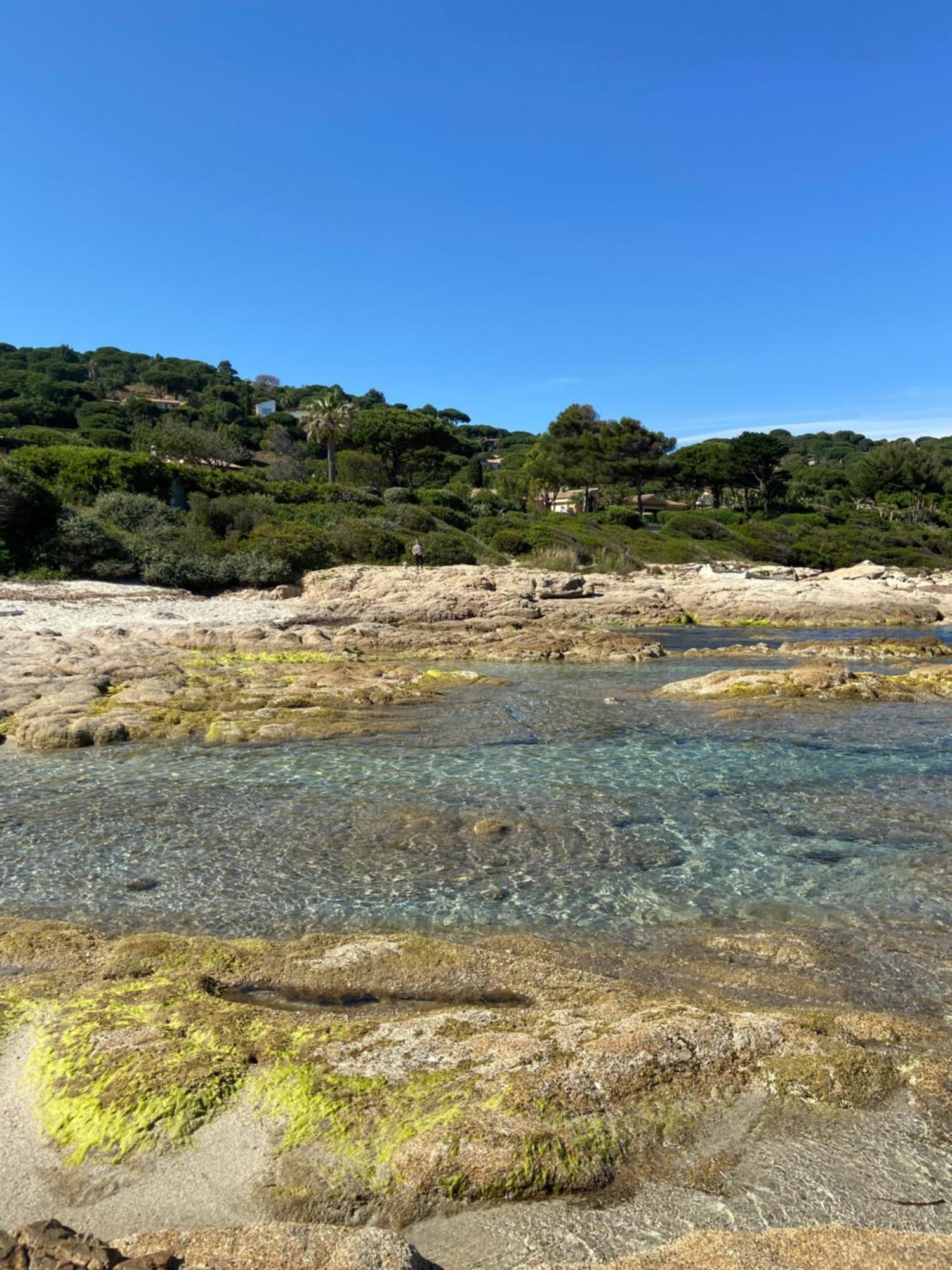 Campsite Port Grimaud