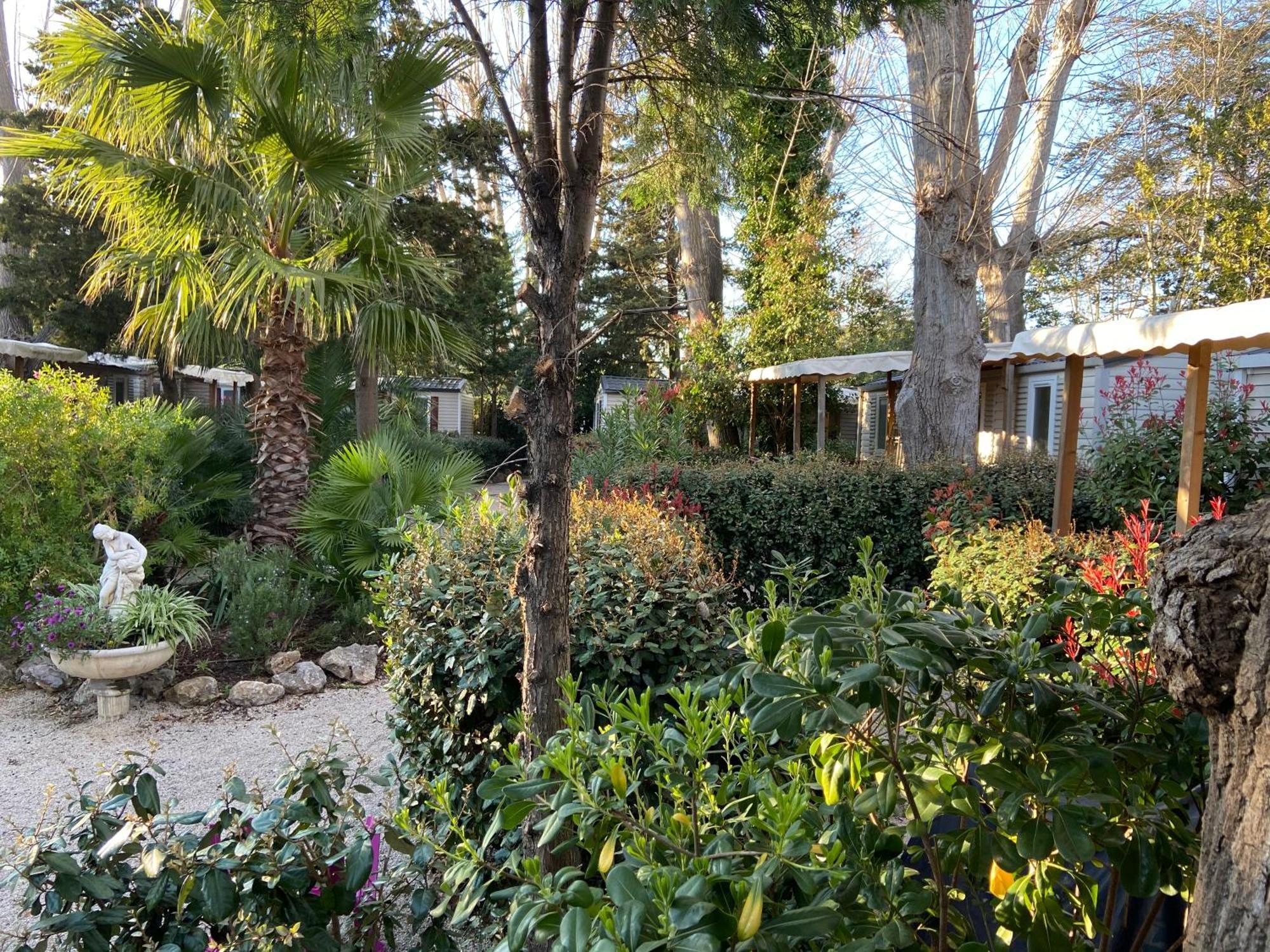 Campsite Port 5*